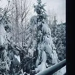Dom Pod Lasem Bielsko-Biala