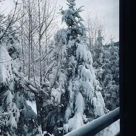 Dom Pod Lasem Bielsko-Biala